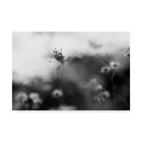 סימן מסחרי אמנות יפה מופשטת אמנות קנבס 'מצבי רוח שחור לבן' מאת Incred