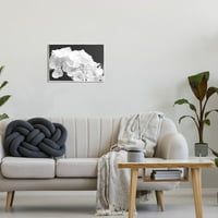 עדין לבן הידראנגאה עלי כותרת בוטני & פרחוני צילום ממוסגר אמנות הדפסת קיר אמנות